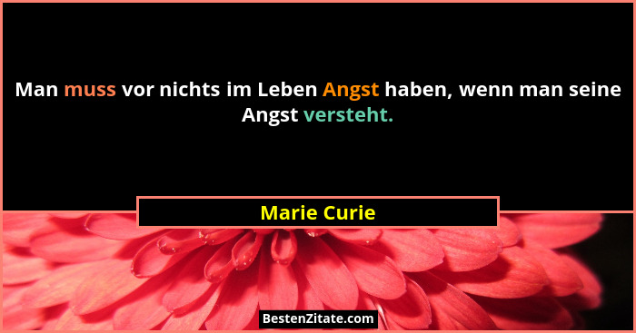 Man muss vor nichts im Leben Angst haben, wenn man seine Angst versteht.... - Marie Curie