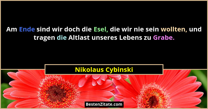 Am Ende sind wir doch die Esel, die wir nie sein wollten, und tragen die Altlast unseres Lebens zu Grabe.... - Nikolaus Cybinski