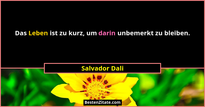 Das Leben ist zu kurz, um darin unbemerkt zu bleiben.... - Salvador Dali