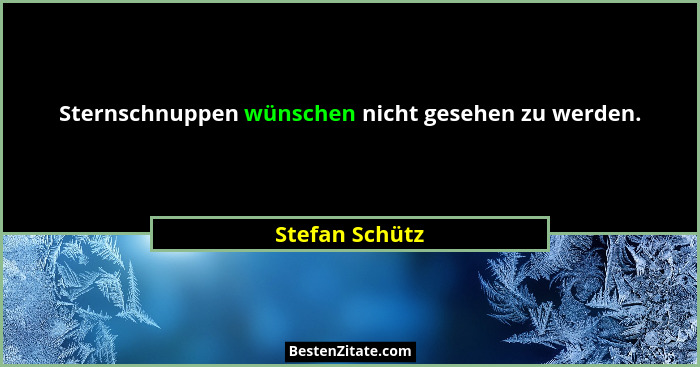Sternschnuppen wünschen nicht gesehen zu werden.... - Stefan Schütz