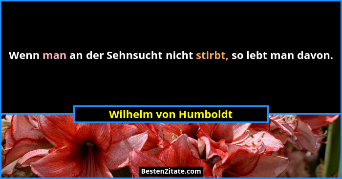Wenn man an der Sehnsucht nicht stirbt, so lebt man davon.... - Wilhelm von Humboldt