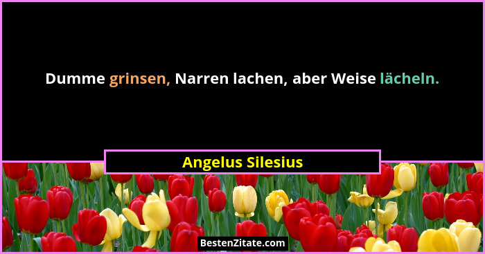 Dumme grinsen, Narren lachen, aber Weise lächeln.... - Angelus Silesius