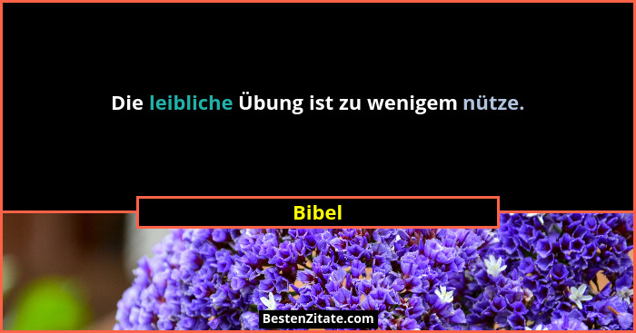 Die leibliche Übung ist zu wenigem nütze.... - Bibel