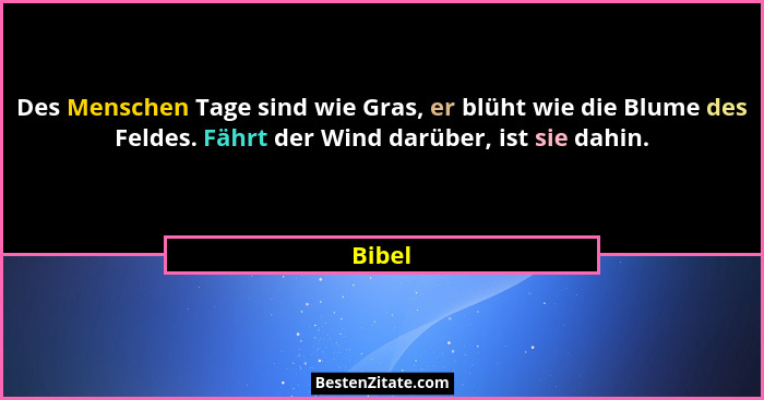 Des Menschen Tage sind wie Gras, er blüht wie die Blume des Feldes. Fährt der Wind darüber, ist sie dahin.... - Bibel