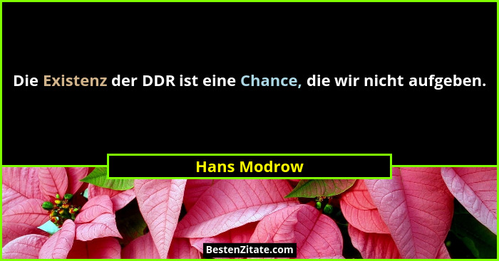 Die Existenz der DDR ist eine Chance, die wir nicht aufgeben.... - Hans Modrow