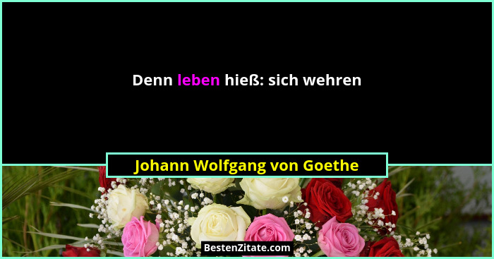 Denn leben hieß: sich wehren... - Johann Wolfgang von Goethe