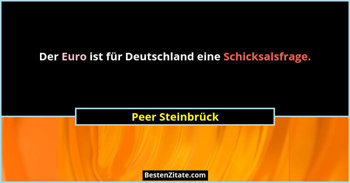Der Euro ist für Deutschland eine Schicksalsfrage.... - Peer Steinbrück