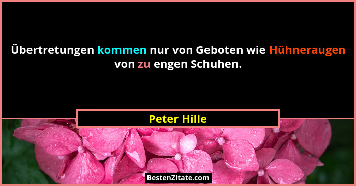 Übertretungen kommen nur von Geboten wie Hühneraugen von zu engen Schuhen.... - Peter Hille