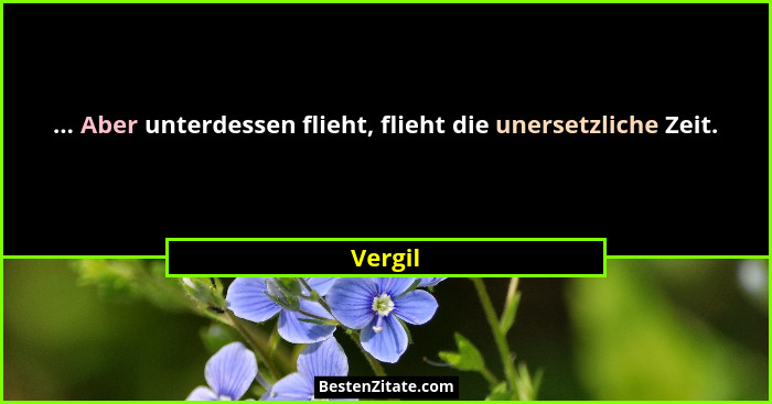... Aber unterdessen flieht, flieht die unersetzliche Zeit.... - Vergil