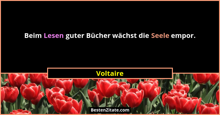 Beim Lesen guter Bücher wächst die Seele empor.... - Voltaire