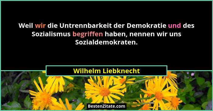 Weil wir die Untrenn­barkeit der Demokratie und des Sozialismus begriffen haben, nennen wir uns Sozialdemokraten.... - Wilhelm Liebknecht