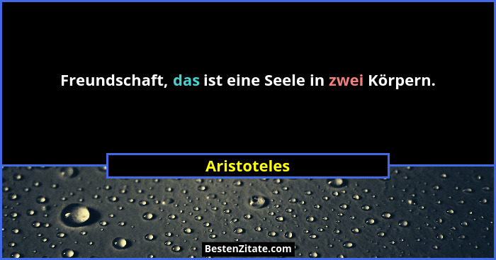 Freundschaft, das ist eine Seele in zwei Körpern.... - Aristoteles