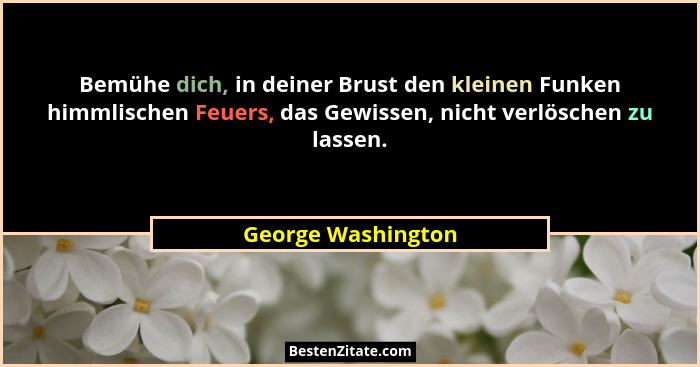 Bemühe dich, in deiner Brust den kleinen Funken himmlischen Feuers, das Gewissen, nicht verlöschen zu lassen.... - George Washington