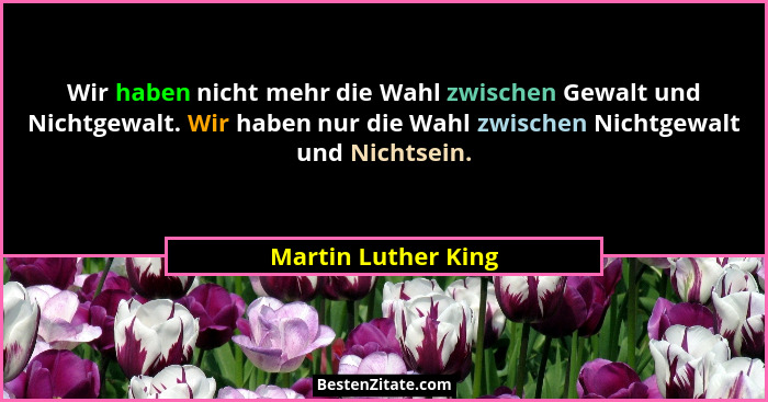 Wir haben nicht mehr die Wahl zwischen Gewalt und Nichtgewalt. Wir haben nur die Wahl zwischen Nichtgewalt und Nichtsein.... - Martin Luther King