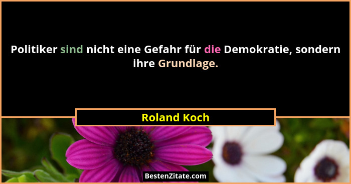 Politiker sind nicht eine Gefahr für die Demokratie, sondern ihre Grundlage.... - Roland Koch