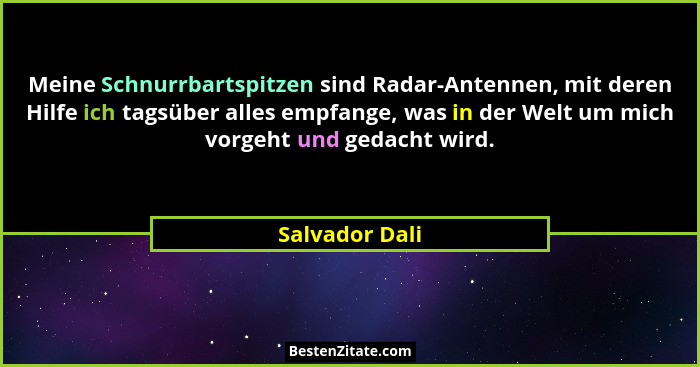 Meine Schnurrbartspitzen sind Radar-Antennen, mit deren Hilfe ich tagsüber alles empfange, was in der Welt um mich vorgeht und gedacht... - Salvador Dali