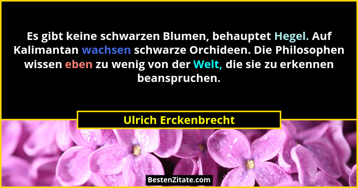 Es gibt keine schwarzen Blumen, behauptet Hegel. Auf Kalimantan wachsen schwarze Orchideen. Die Philosophen wissen eben zu wenig... - Ulrich Erckenbrecht