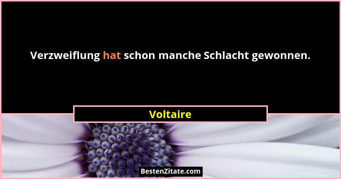 Verzweiflung hat schon manche Schlacht gewonnen.... - Voltaire