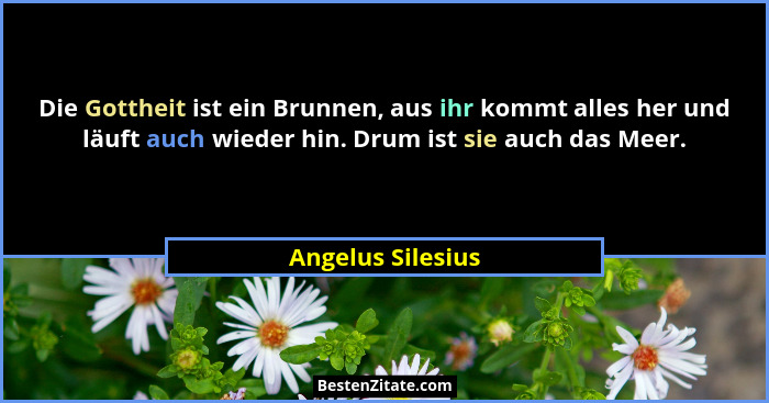 Die Gottheit ist ein Brunnen, aus ihr kommt alles her und läuft auch wieder hin. Drum ist sie auch das Meer.... - Angelus Silesius