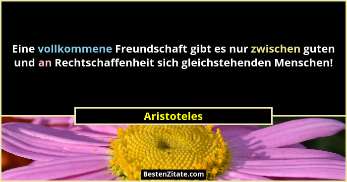 Eine vollkommene Freundschaft gibt es nur zwischen guten und an Rechtschaffenheit sich gleichstehenden Menschen!... - Aristoteles