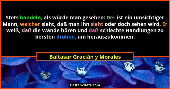 Stets handeln, als würde man gesehen: Der ist ein umsichtiger Mann, welcher sieht, daß man ihn sieht oder doch sehen wird... - Baltasar Gracián y Morales