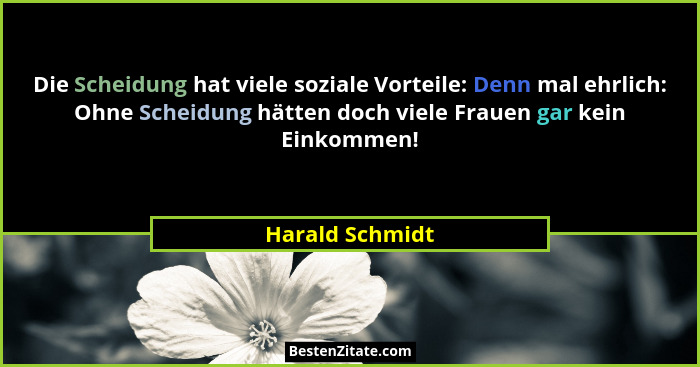 Die Scheidung hat viele soziale Vorteile: Denn mal ehrlich: Ohne Scheidung hätten doch viele Frauen gar kein Einkommen!... - Harald Schmidt