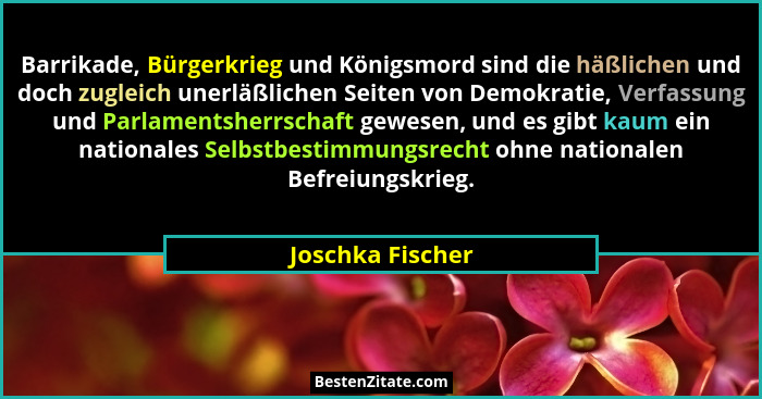 Barrikade, Bürgerkrieg und Königsmord sind die häßlichen und doch zugleich unerläßlichen Seiten von Demokratie, Verfassung und Parla... - Joschka Fischer