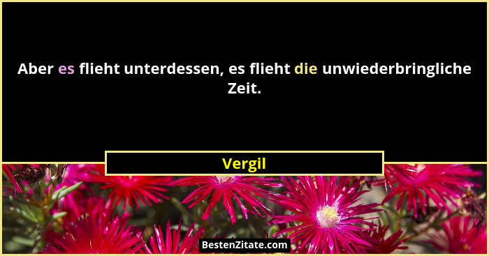 Aber es flieht unterdessen, es flieht die unwiederbringliche Zeit.... - Vergil