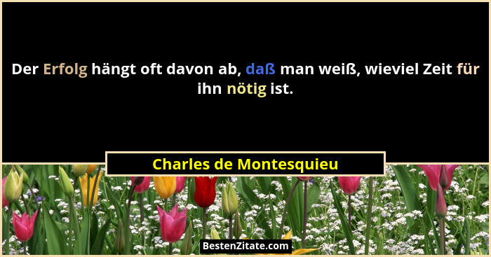 Der Erfolg hängt oft davon ab, daß man weiß, wieviel Zeit für ihn nötig ist.... - Charles de Montesquieu