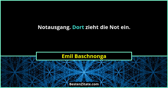 Notausgang. Dort zieht die Not ein.... - Emil Baschnonga