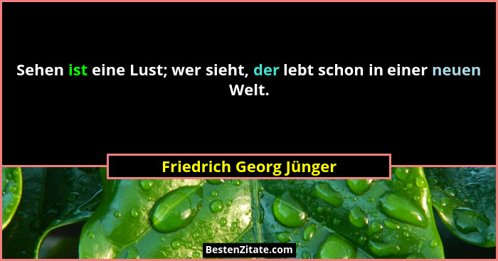 Sehen ist eine Lust; wer sieht, der lebt schon in einer neuen Welt.... - Friedrich Georg Jünger