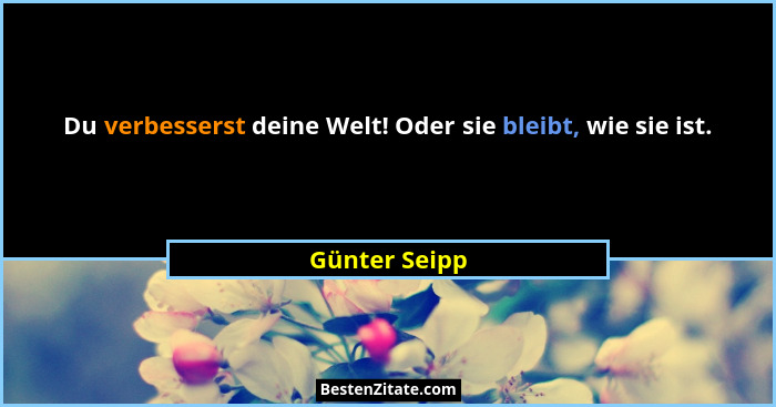 Du verbesserst deine Welt! Oder sie bleibt, wie sie ist.... - Günter Seipp