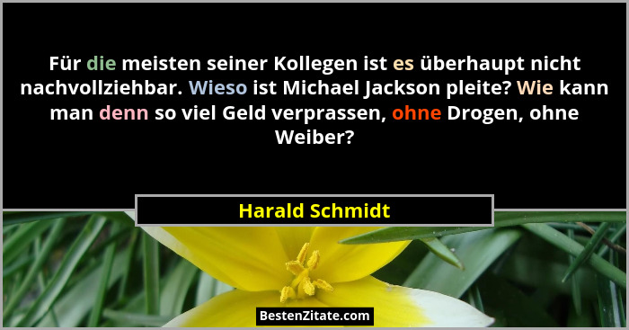 Für die meisten seiner Kollegen ist es überhaupt nicht nachvollziehbar. Wieso ist Michael Jackson pleite? Wie kann man denn so viel G... - Harald Schmidt