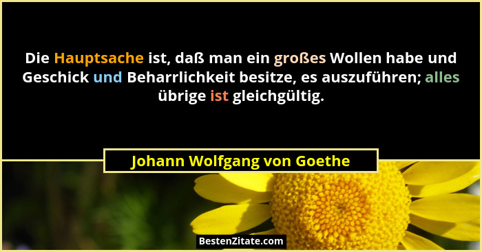 Die Hauptsache ist, daß man ein großes Wollen habe und Geschick und Beharrlichkeit besitze, es auszuführen; alles übrige... - Johann Wolfgang von Goethe