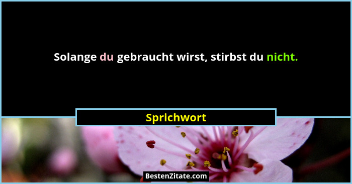 Solange du gebraucht wirst, stirbst du nicht.... - Sprichwort