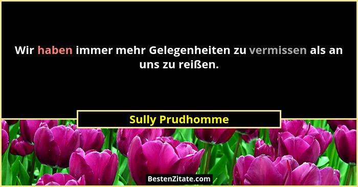Wir haben immer mehr Gelegenheiten zu vermissen als an uns zu reißen.... - Sully Prudhomme