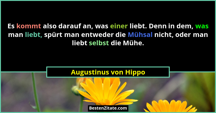 Es kommt also darauf an, was einer liebt. Denn in dem, was man liebt, spürt man entweder die Mühsal nicht, oder man liebt selbs... - Augustinus von Hippo
