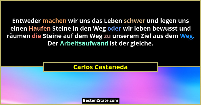 Entweder machen wir uns das Leben schwer und legen uns einen Haufen Steine in den Weg oder wir leben bewusst und räumen die Steine... - Carlos Castaneda