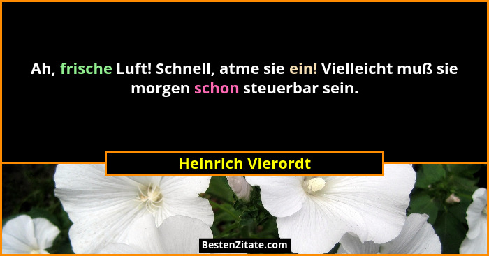 Ah, frische Luft! Schnell, atme sie ein! Vielleicht muß sie morgen schon steuerbar sein.... - Heinrich Vierordt