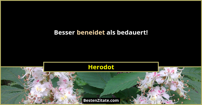Besser beneidet als bedauert!... - Herodot