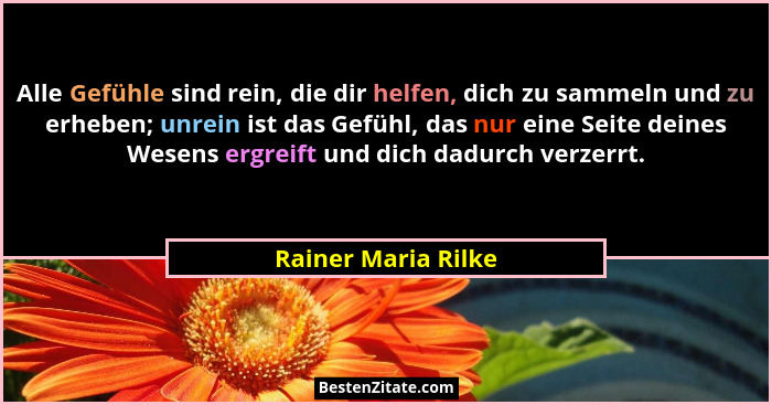 Alle Gefühle sind rein, die dir helfen, dich zu sammeln und zu erheben; unrein ist das Gefühl, das nur eine Seite deines Wesens e... - Rainer Maria Rilke
