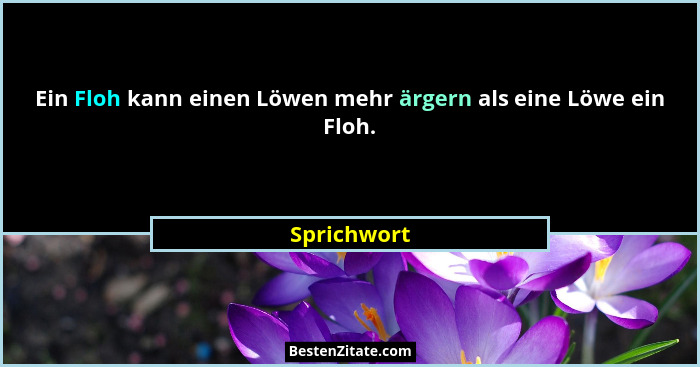 Ein Floh kann einen Löwen mehr ärgern als eine Löwe ein Floh.... - Sprichwort