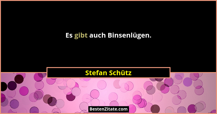 Es gibt auch Binsenlügen.... - Stefan Schütz