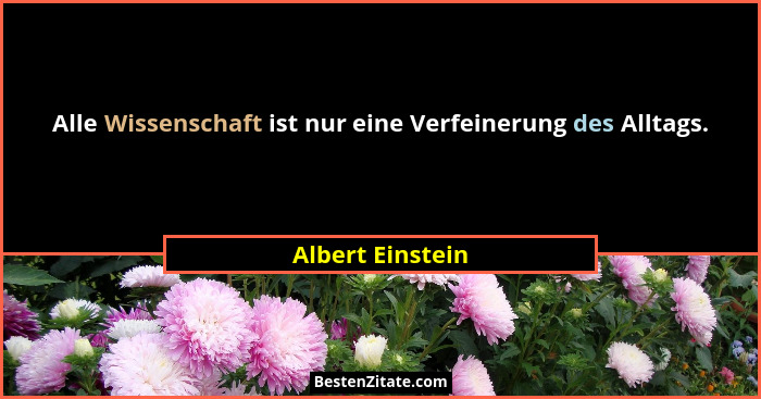 Alle Wissenschaft ist nur eine Verfeinerung des Alltags.... - Albert Einstein