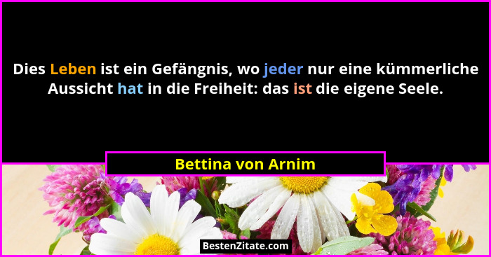 Dies Leben ist ein Gefängnis, wo jeder nur eine kümmerliche Aussicht hat in die Freiheit: das ist die eigene Seele.... - Bettina von Arnim