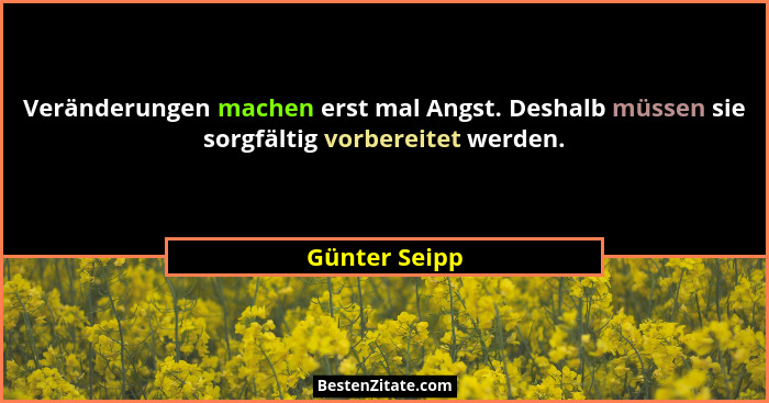 Veränderungen machen erst mal Angst. Deshalb müssen sie sorgfältig vorbereitet werden.... - Günter Seipp