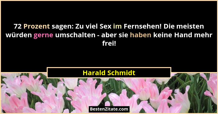 72 Prozent sagen: Zu viel Sex im Fernsehen! Die meisten würden gerne umschalten - aber sie haben keine Hand mehr frei!... - Harald Schmidt