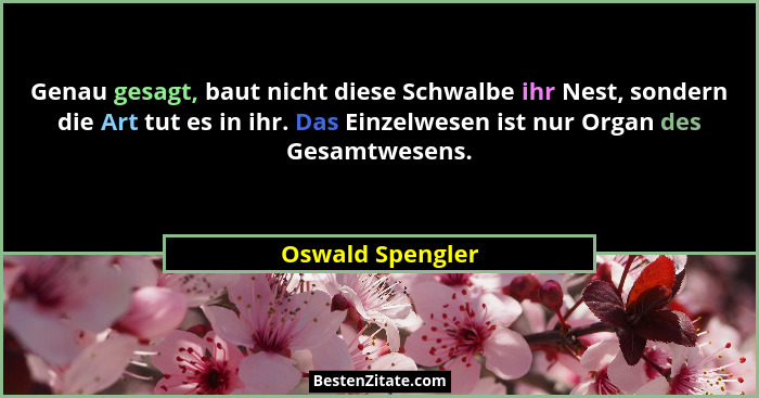 Genau gesagt, baut nicht diese Schwalbe ihr Nest, sondern die Art tut es in ihr. Das Einzelwesen ist nur Organ des Gesamtwesens.... - Oswald Spengler