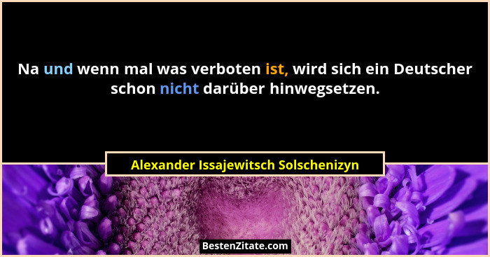 Na und wenn mal was verboten ist, wird sich ein Deutscher schon nicht darüber hinwegsetzen.... - Alexander Issajewitsch Solschenizyn