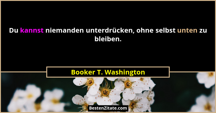 Du kannst niemanden unterdrücken, ohne selbst unten zu bleiben.... - Booker T. Washington